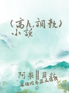 (高h,调教)小说