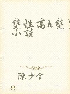 双性高h双男主小说