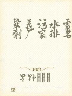 巩义污水处理药剂厂家排名