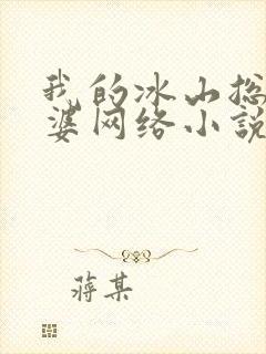 我的冰山总裁老婆网络小说