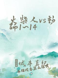 火柴人vs动画师1~14