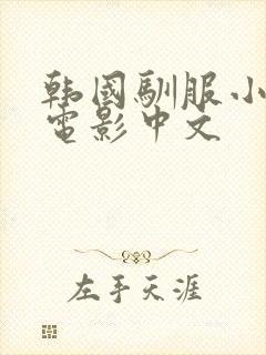 韩国驯服小[子电影中文
