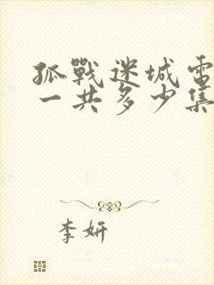 孤战迷城电视剧一共多少集