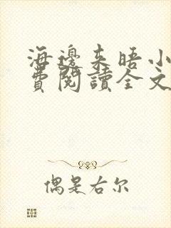 海边来晤小说免费阅读全文最新章节