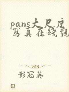 pans大尺度写真在线观看