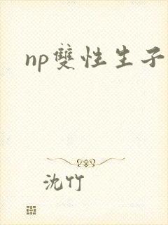 np双性生子文