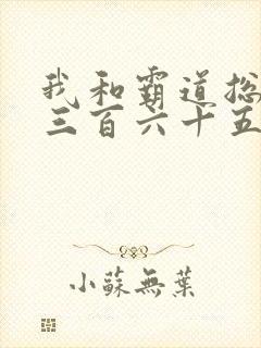 我和霸道总裁的三百六十五天第一季免费