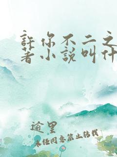 许你不二之臣原著小说叫什么名字