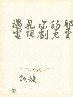 遇见你的那一天电视剧免费观看高清全集