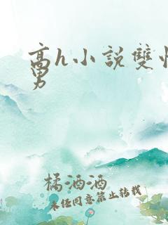 高h小说双性男男