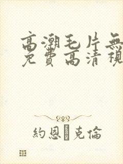 高潮毛片无遮挡免费高清视频