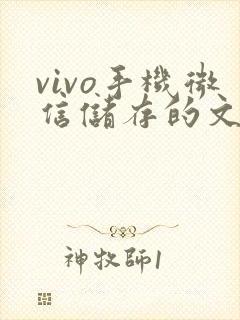 vivo手机微信储存的文件在哪里