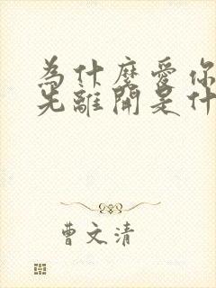 为什么爱你的人先离开是什么歌