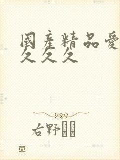 国产精品爱久久久久久