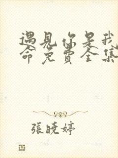 遇见你是我的宿命免费全集短剧