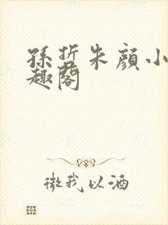 孙哲朱颜小说笔趣阁