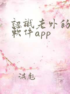 认识老外的社交软件app