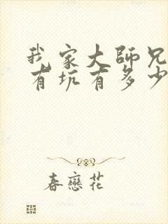 我家大师兄脑子有坑有多少季