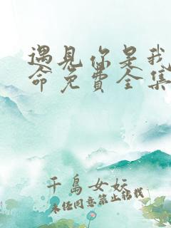 遇见你是我的宿命免费全集短剧