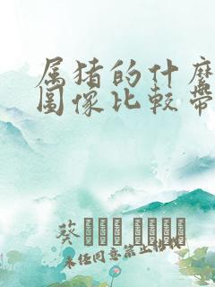 属猪的什么微信图像比较带来财运