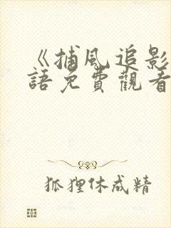 《捕风追影》国语免费观看高清在线