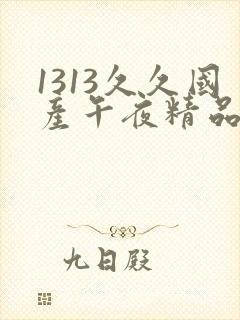 1313久久国产午夜精品理论片