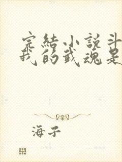 完结小说斗罗之我的武魂是魂环