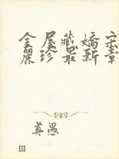 金屋藏娇宋阳陈丽珍最新章节更新内容