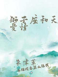 狮子座和天秤座爱情