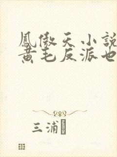 凤傲天小说里的黄毛反派也想要幸福免费