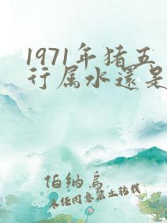 1971年猪五行属水还是金