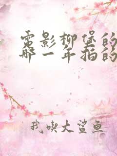 电影柳堡的故事哪一年拍的