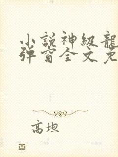 小说神级龙卫无弹窗全文免费阅读