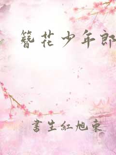 簪花少年郎完结