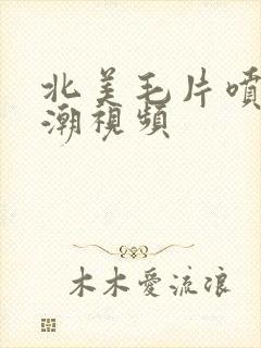 北美毛片喷水高潮视频