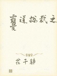 霸道总裁之轻轻爱