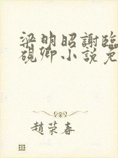 梁明昭谢临风沈砚卿小说免费阅读