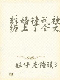 离婚后我被前夫缠上了全文