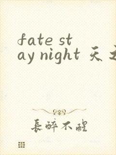 fate stay night 天之杯