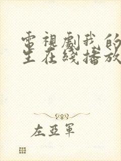 电视剧我的后半生在线播放