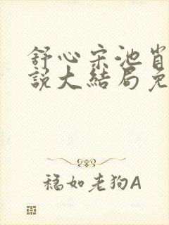 舒心宋池肖嫣小说大结局免费