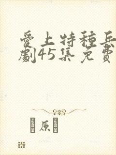 爱上特种兵电视剧45集免费观看