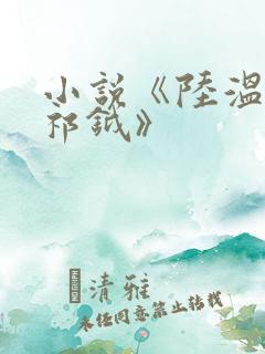 小说《陆温杳霍祁钺》