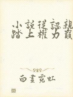 小说从认亲开始踏上权力巅峰正版免费