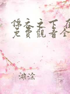 锦衣之下 在线免费观看全集