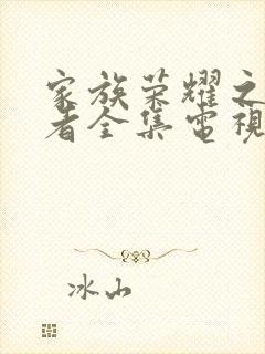 家族荣耀之继承者全集电视剧免费看