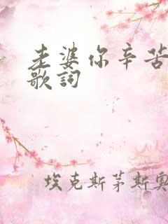 老婆你辛苦了的歌词