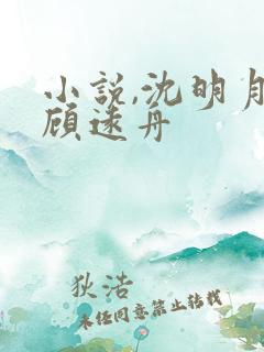 小说,沈明月,顾远舟