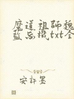 魔道祖师魏无羡蓝忘机txt全集下载