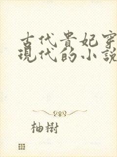 古代贵妃穿越到现代的小说